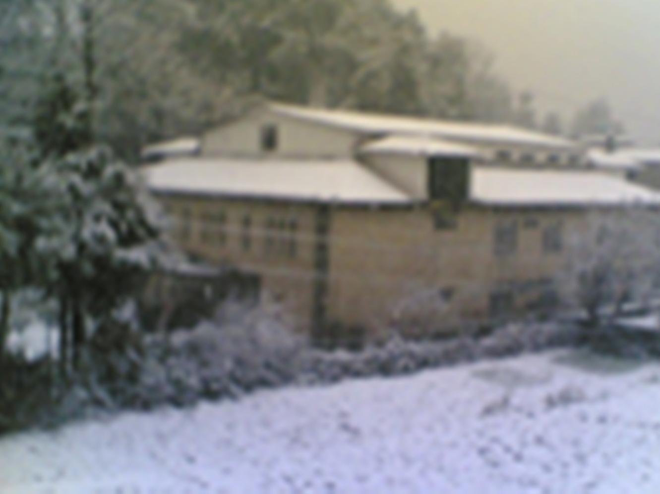 Langdale Manor Otel Nainital Dış mekan fotoğraf